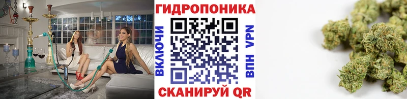 Где купить наркоту Оренбург Cocaine  АМФ  МЕТАДОН  Канабис 