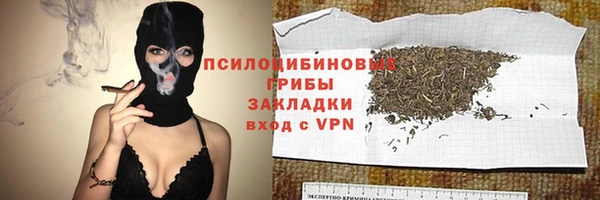 прущие грибы Магас
