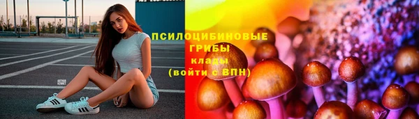 мяу мяу мука Магас