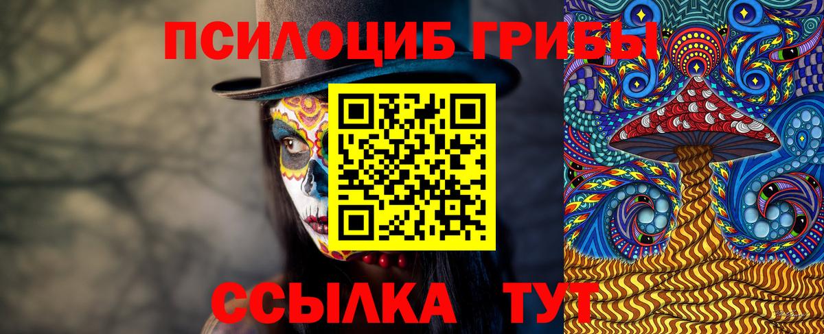 Галлюциногенные грибы GOLDEN TEACHER Оренбург