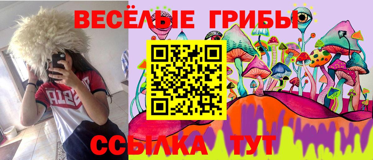 Оренбург  Галлюциногенные грибы ЛСД  цены   Вход с VPN 