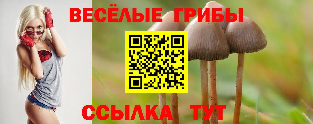 Псилоцибиновые грибы Magic Shrooms  Оренбург 