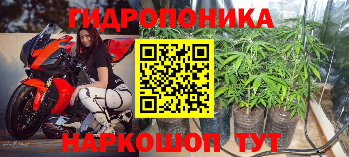 Бошки Шишки AK-47  Шишки марихуана план  Оренбург  Шишки марихуана Ganja  Вход с VPN 